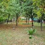 Proprietate individuala-3 apartamente,spatiu comercial,garaje,gradina,curte