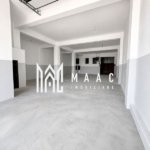 Hală industrială | 500 mp | Curte 600 mp | Zona Terezian