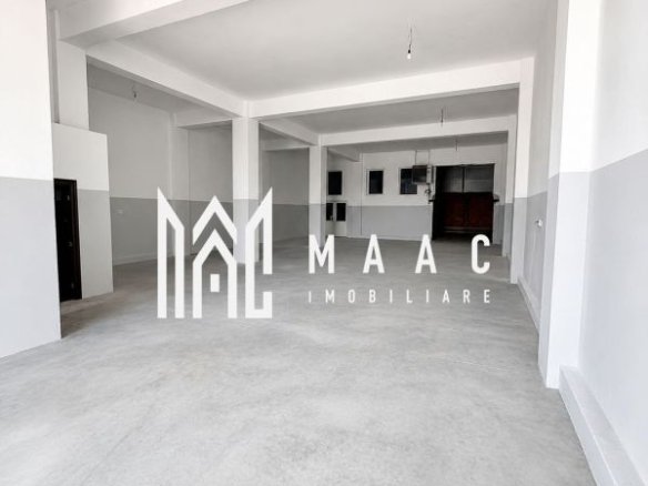 Hală industrială | 500 mp | Curte 600 mp | Zona Terezian