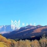 Sebesul de Sus I Terenuri 4 Parcele diferite