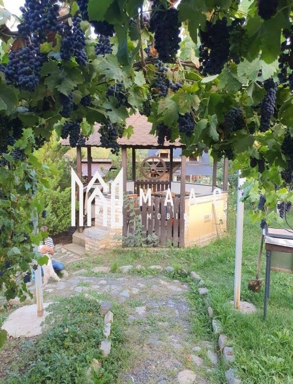 Teren Intravilan | 634 MP | Livada | Cisnadie