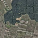 Teren zona Mosnita Padurea Bistra