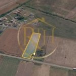 Teren intravilan 5.000 mp, Bucovăț, ideal dezvoltare case ! 0% Comision!