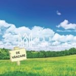 Teren intravilan | 29.300MP | Miercurea Sibiului
