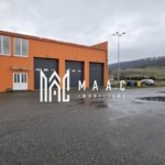 Imobil industrial I 448 mp I Teren 12.000 mp I Bradu I De Inchiriat