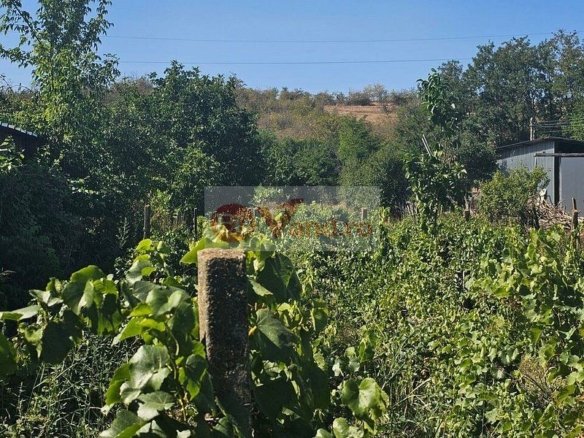 Teren 1800 mp + casa batraneasca – Fartanesti, jud. Galati