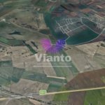Teren agricol extravilan Sura Mare – 5000 mp