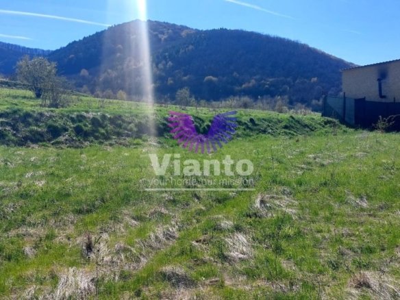 Teren extravilan 1500mp – Poplaca