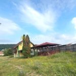🏡 Oază de liniște! Casă cochetă cu foișor și curte – Mărăcineni