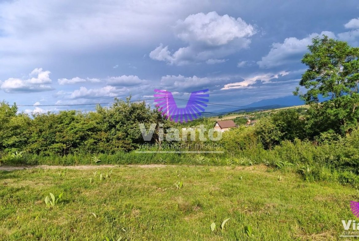 Teren Intravilan 1000mp-Zona Daia