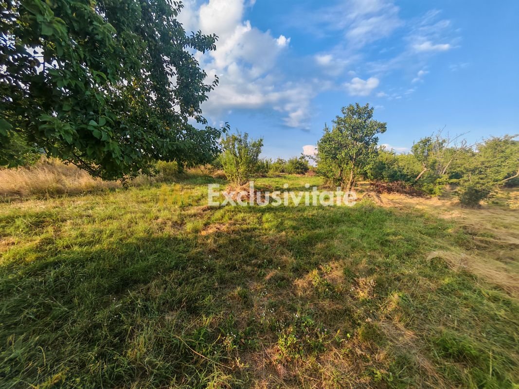 6923ee51e330467593cd03542e3faa52 Teren intravilan 1.600 mp Mioveni – Zona Pruni