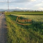 Teren intravilan Stupini front la Calea Feldioarei, DN 13