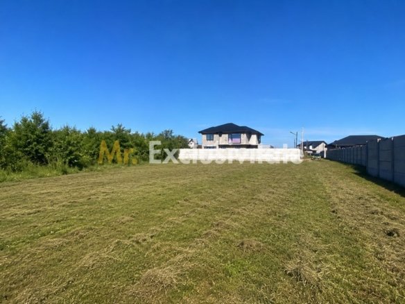 Teren intravilan 530 Mp | Albota