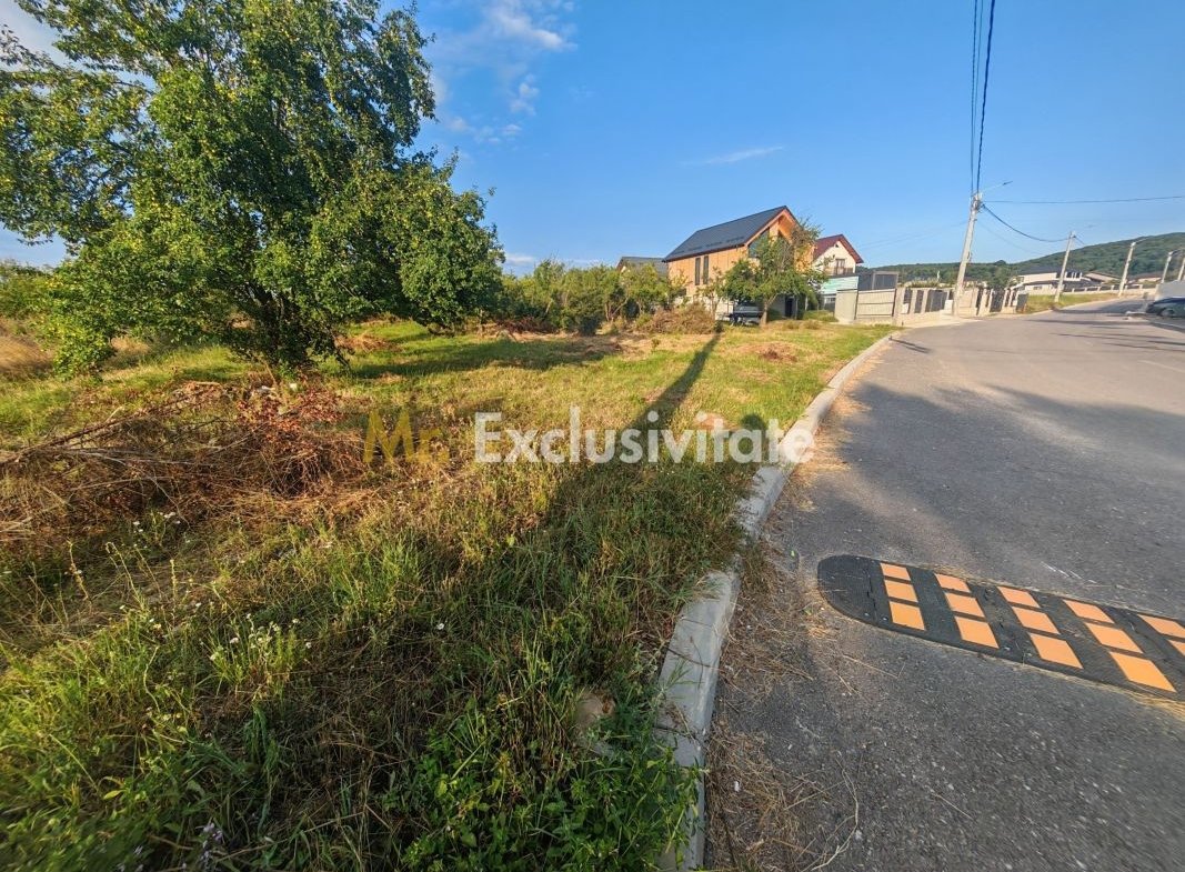 Teren intravilan 1.600 mp Mioveni – Zona Pruni