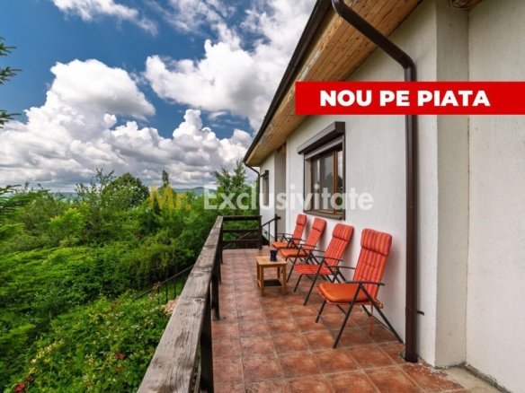 Casa moderna si casa bunicii + 6300 mp teren,Oaza autentica in Corbi Arges-