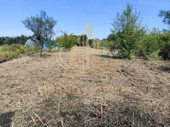 Teren intravilan 5800 mp Plopi – utilitati la poarta, drum asfaltat