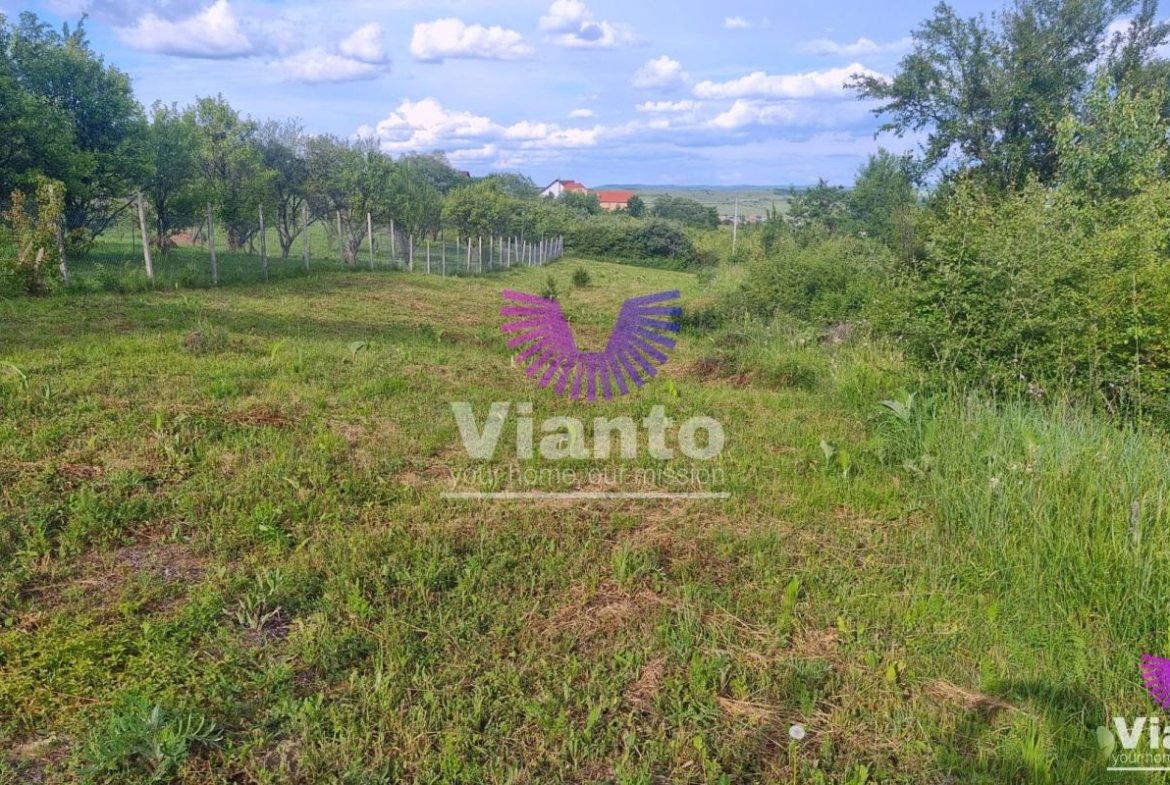 Teren Intravilan 1000mp-Zona Daia