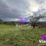 Oportunitate Teren Intravilan cu Utilitati 600mp-Mohu-Selimbar
