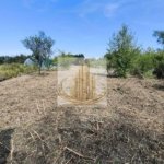 Teren 5.800 mp Timișoara Ghiroda