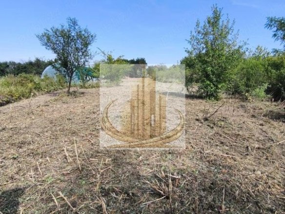 Teren 5.800 mp Timișoara Ghiroda