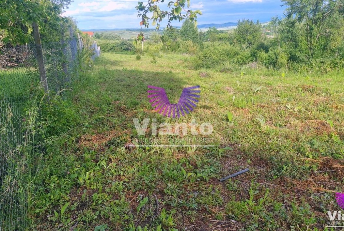 Teren Intravilan 1000mp-Zona Daia