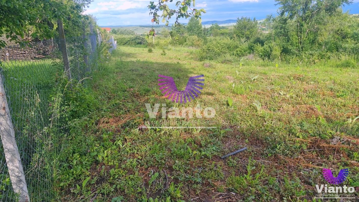 Teren Intravilan 1000mp-Zona Daia