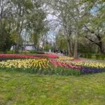 De inchiriat apartament cu 2 camere, etaj 2, Gradina Publica, 400 euro