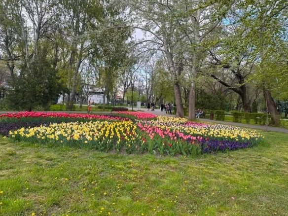 De inchiriat apartament cu 2 camere, etaj 2, Gradina Publica, 400 euro
