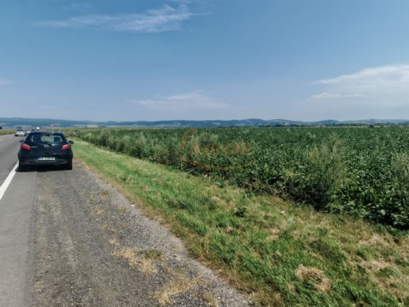 Teren intravilan 3,85 ha,Brasov DN 13 langa MILLE, OLYMPUS, ARKADA
