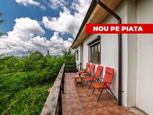 Casa moderna si casa bunicii + 6300 mp teren,Oaza autentica in Corbi Arges-