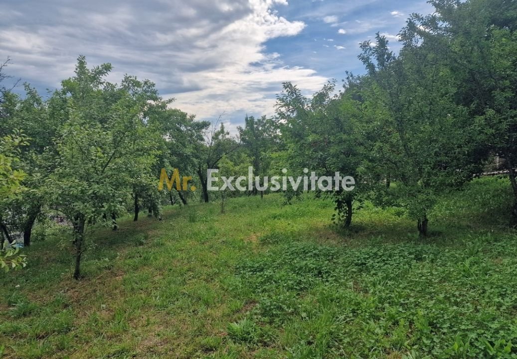 Teren intravilan 1400mp-Albota!