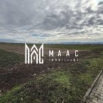 Teren intravilan | 9600 mp | Șură Mică | Utilități | Drum Asfaltat
