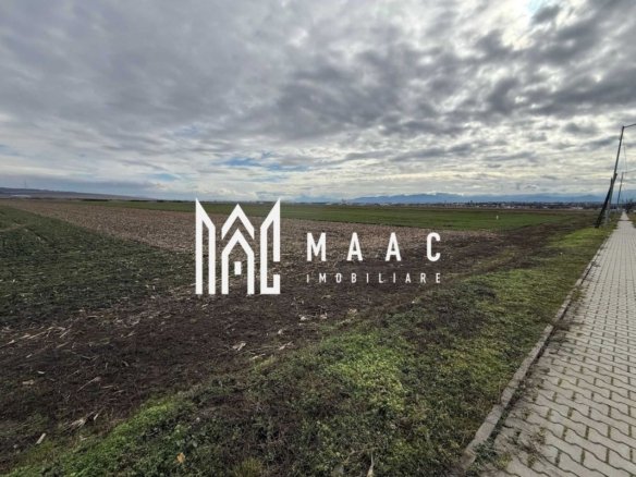 Teren intravilan | 9600 mp | Șură Mică | Utilități | Drum Asfaltat