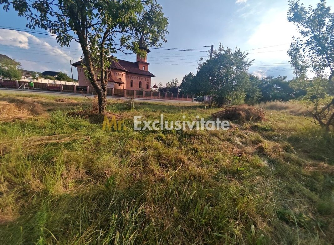Teren intravilan 1.600 mp Mioveni – Zona Pruni