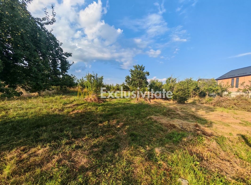 Teren intravilan 1.600 mp Mioveni – Zona Pruni