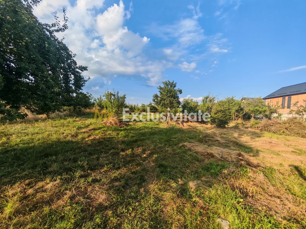 d9a4b8e70f354364b993db838007a4e1 Teren intravilan 1.600 mp Mioveni – Zona Pruni