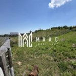 Teren intravilan 500 mp | Daia Nouă, Sibiu | acces facil, utilități în apropiere