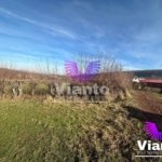 Teren intravilan 500 mp in Rasinari