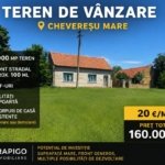 Teren vanzare-8000 m2-Cheveresu Mare -100 m front stradal