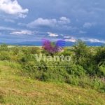 Teren Intravilan 1000mp-Zona Daia