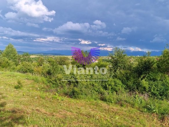 Teren Intravilan 1000mp-Zona Daia