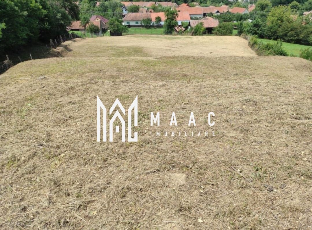 02bc409d1cd94aadaccf669d668bde97 Teren intravilan | 3860 mp în Sărata | Ideal Pensiune sau Resort
