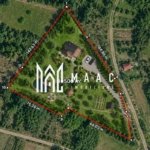 Teren 10500MPU I Daia I Acces 2 drumuri I Ideal Construcții I Cabana