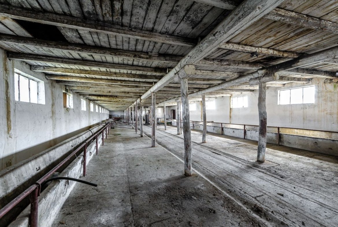 Fermă Mândruloc 2,5 ha