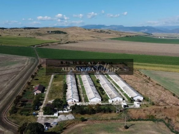 Teren 43884 mp intravilan, 4 hale 6000 mp, nod autostrada, Bogata