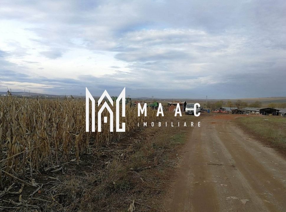 Teren intravilan I Zona Calea Surii Mici- Magnolia