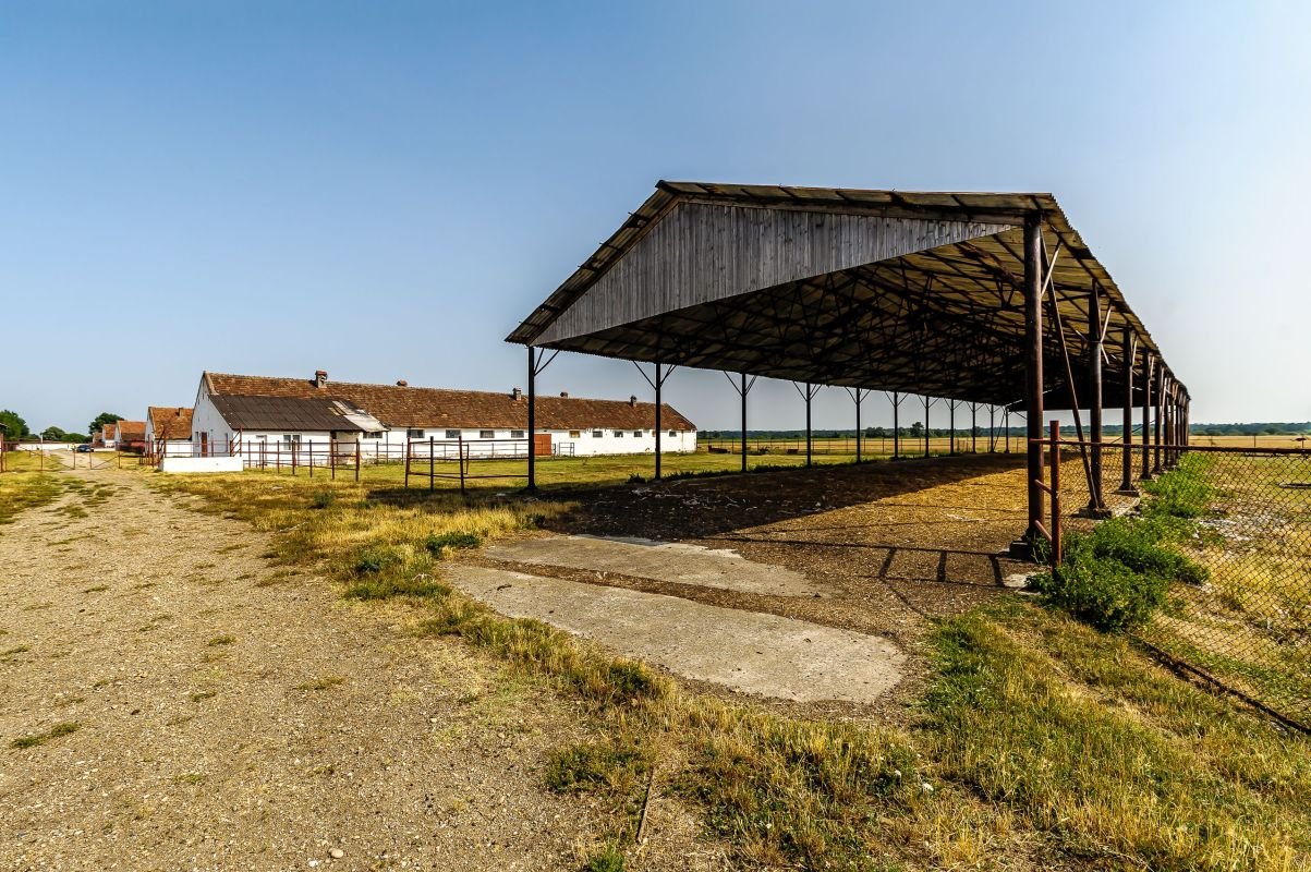 50f6582d960b4a6498d937d02e1287ae Fermă Mândruloc 2,5 ha
