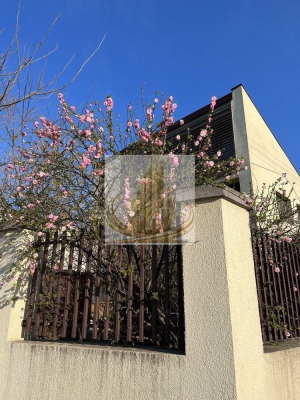 5ecdf8c4c8564f218485c58c6edc41bb Vilă spectaculoasă în zona Brâncoveanu | 270 mp | Garaj| Curte proprie