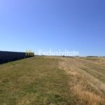 Teren Turcesti, Pitesti – 730 mp!