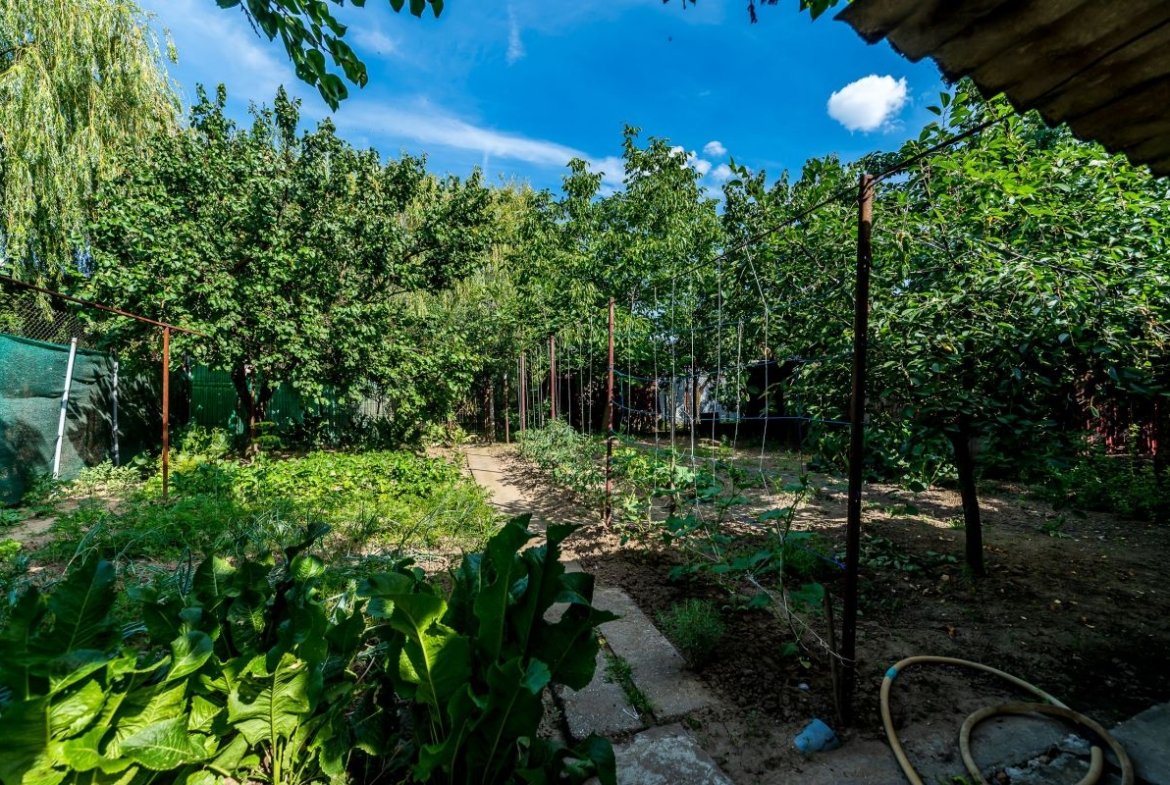 Casa 3 camere, bucatarie si baie, in zona centrala din Chisineu-Cris